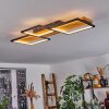 Pompu Plafoniera LED Nero, 1-Luce