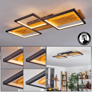 Pompu Plafoniera LED Nero, 1-Luce