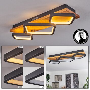 Pompu Plafoniera LED Nero, 1-Luce