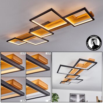 Pompu Plafoniera LED Nero, 1-Luce