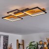 Pompu Plafoniera LED Nero, 1-Luce