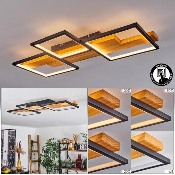 Pompu Plafoniera LED Nero, 1-Luce