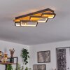 Pompu Plafoniera LED Nero, 1-Luce