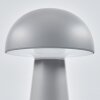 Telve Lampada da tavolo LED Grigio, 1-Luce