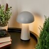 Telve Lampada da tavolo LED Grigio, 1-Luce