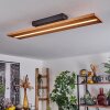 Adak Plafoniera LED Nero, 1-Luce