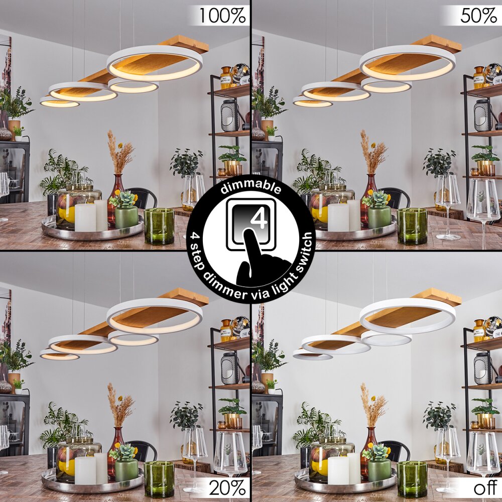 Rodekro Lampada a Sospensione LED Bianco, 1-Luce
