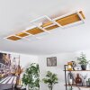 Pompu Plafoniera LED Bianco, 1-Luce