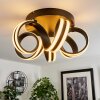 Chapotia Plafoniera LED Nero, 1-Luce