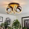 Chapotia Plafoniera LED Nero, 1-Luce