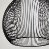 Barthoid Lampadario a sospensione Nero, 1-Luce