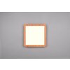 Reality Camillus Plafoniera LED Aspetto del legno, Bianco, 1-Luce