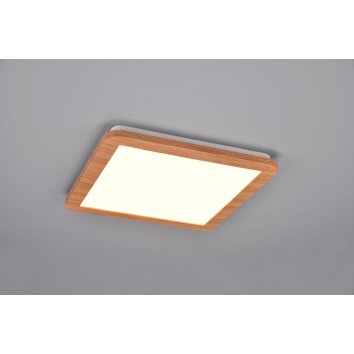 Reality Camillus Plafoniera LED Aspetto del legno, Bianco, 1-Luce