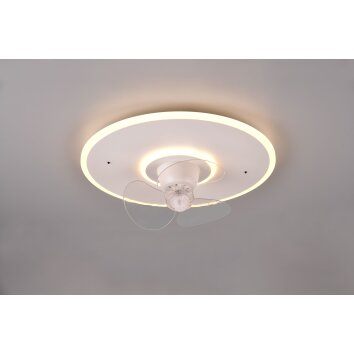 Reality Nybro ventilatore da soffitto LED Bianco, 1-Luce, Telecomando