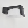 Lafite Lampade solari LED Antracite, 1-Luce, Sensori di movimento