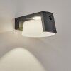 Lafite Lampade solari LED Antracite, 1-Luce, Sensori di movimento