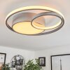 Vignier Plafoniera LED Titanio, 1-Luce