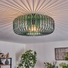 Wemude Plafoniera Verde, 1-Luce