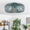 Wemude Plafoniera Verde, 1-Luce