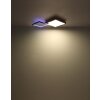 Globo JACKY Plafoniera LED Aspetto del legno, Nero, 2-Luci, Telecomando, Cambia colore