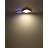 Globo JACKY Plafoniera LED Aspetto del legno, Nero, 2-Luci, Telecomando, Cambia colore