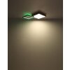 Globo JACKY Plafoniera LED Aspetto del legno, Nero, 2-Luci, Telecomando, Cambia colore