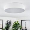 Maho Plafoniera LED Bianco, 1-Luce