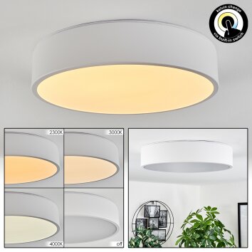 Maho Plafoniera LED Bianco, 1-Luce