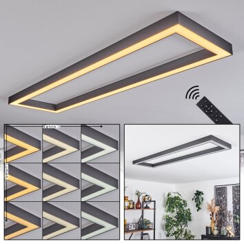 Dubuisson Plafoniera LED Antracite, 1-Luce, Telecomando