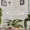 Rosemond Lampadario a sospensione LED Bianco, 1-Luce