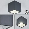 Spidern Plafoniera da esterno LED Antracite, Bianco, 1-Luce