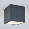 Spidern Plafoniera da esterno LED Antracite, Bianco, 1-Luce
