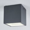 Spidern Plafoniera da esterno LED Antracite, Bianco, 1-Luce