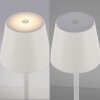 Leuchten-Direkt EURIA Lampada da tavolo LED Bianco, 1-Luce