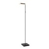 Lucide AARON Lampada da terra LED Nero, 1-Luce