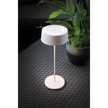 Lutec COCKTAIL Lampada da tavolo LED Bianco, 1-Luce