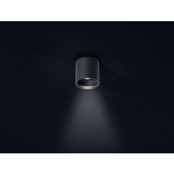 Helestra DORA 1 Plafoniera LED Nero, 1-Luce