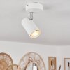 Javel Plafoniera Bianco, 1-Luce