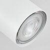 Javel Plafoniera Bianco, 1-Luce