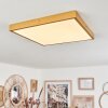 Broglen Plafoniera LED Oro, 1-Luce