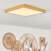 Broglen Plafoniera LED Oro, 1-Luce