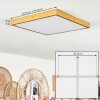 Broglen Plafoniera LED Oro, 1-Luce