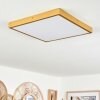 Broglen Plafoniera LED Oro, 1-Luce