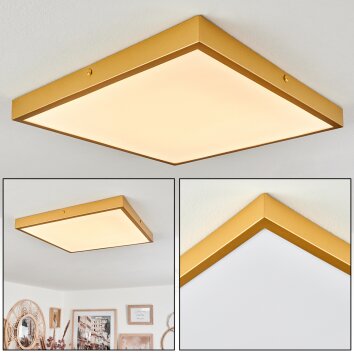 Broglen Plafoniera LED Oro, 1-Luce