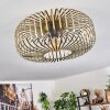 Wemude Plafoniera Ottone antico, 1-Luce