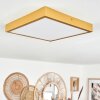 Broglen Plafoniera LED Oro, 1-Luce