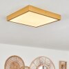 Broglen Plafoniera LED Oro, 1-Luce