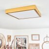 Broglen Plafoniera LED Oro, 1-Luce