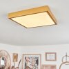 Broglen Plafoniera LED Oro, 1-Luce