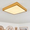 Broglen Plafoniera LED Oro, 1-Luce